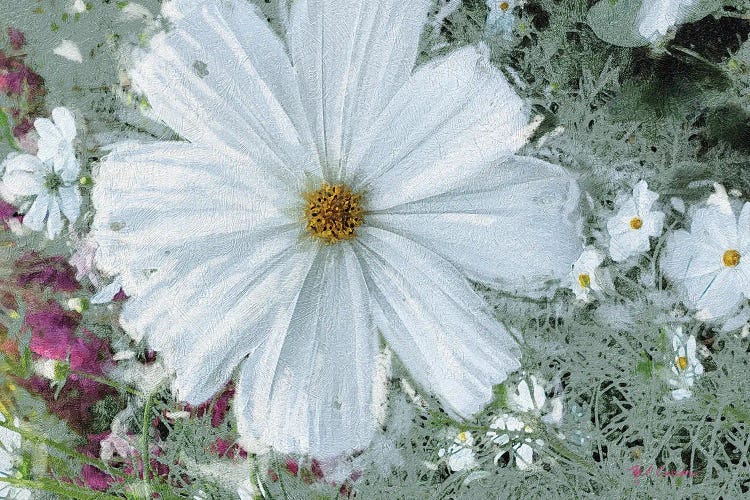 Garden Dream III by Marie Elaine Cusson wall art