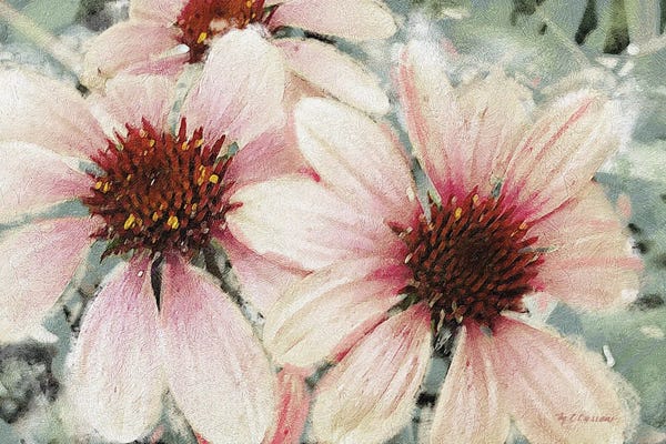Garden Dream IV