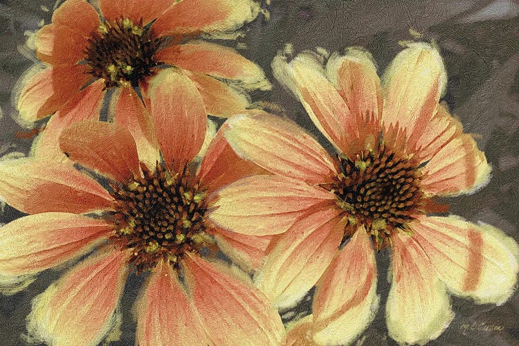 Garden Dream VI by Marie Elaine Cusson wall art