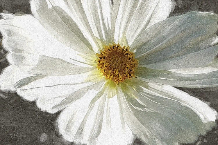 Garden Dream VII by Marie Elaine Cusson wall art
