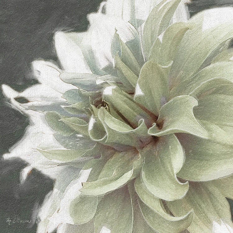 Garden Dream X by Marie Elaine Cusson wall art