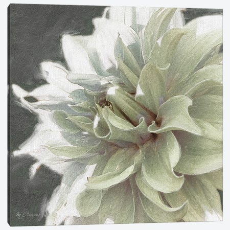 Garden Dream X Canvas Print #MEC151} by Marie Elaine Cusson Canvas Art Print