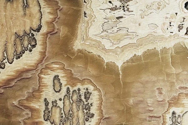 Agates, Geodes & Minerals: Marble Colors Brown I by Marie-Elaine Cusson