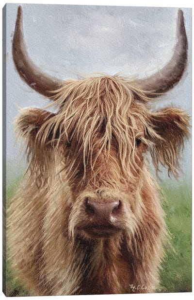 Highland Portrait II Canvas Art Print - Marie-Elaine Cusson