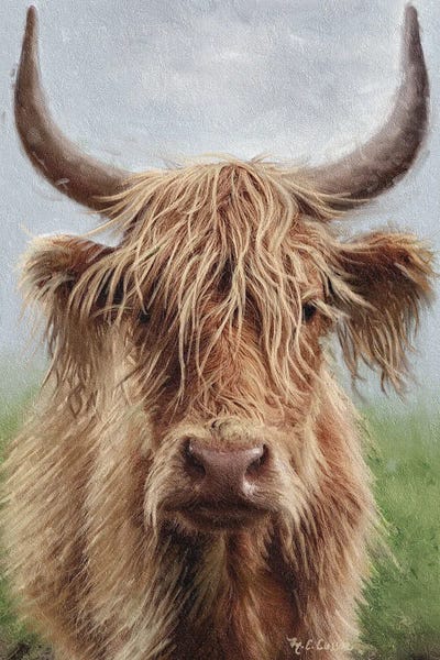 Marie-Elaine Cusson: Highland Portrait II by Marie-Elaine Cusson