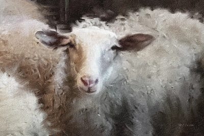 Sheep's Flock by Marie-Elaine Cusson canvas print