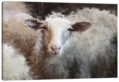 Sheep's Flock Canvas Art Print - Marie-Elaine Cusson