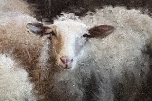 Marie-Elaine Cusson: Sheep's Flock by Marie-Elaine Cusson