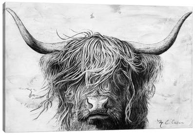Highland In The Wind II Canvas Art Print - Marie-Elaine Cusson