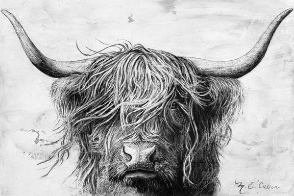 Black & White Drawings & Illustrations: Highland In The Wind II by Marie-Elaine Cusson