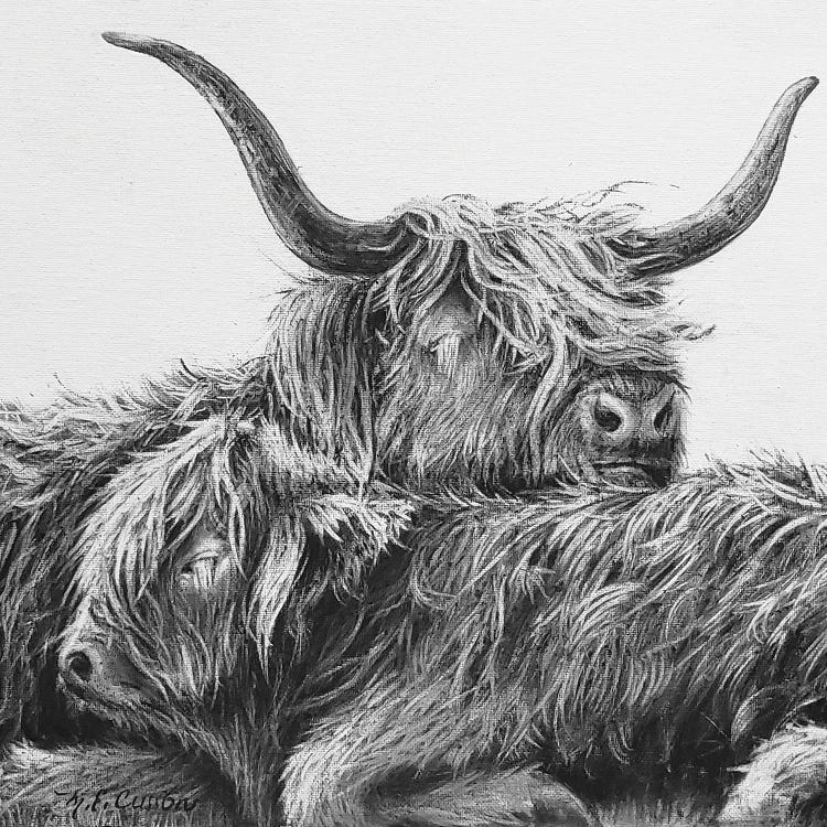 My Highland V