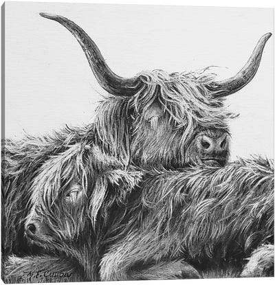 My Highland V Canvas Art Print - Marie-Elaine Cusson