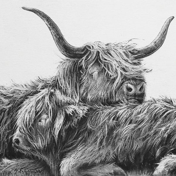 Roaring Brook Art: My Highland V by Marie-Elaine Cusson