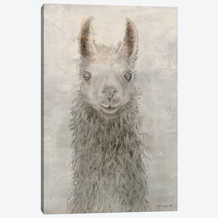 Llama Portrait Canvas Print #MEC17} by Marie Elaine Cusson Canvas Print
