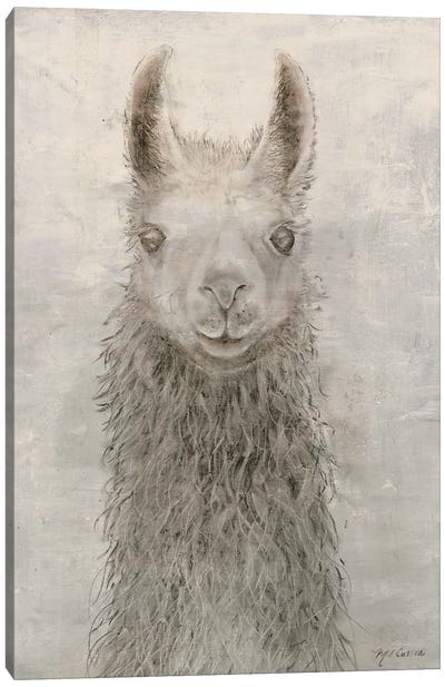 Llama Portrait Canvas Art Print - Marie-Elaine Cusson