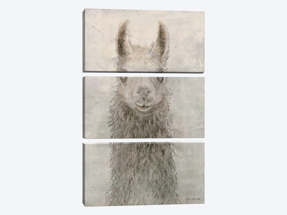 Llama Portrait 3-piece Canvas Art Print