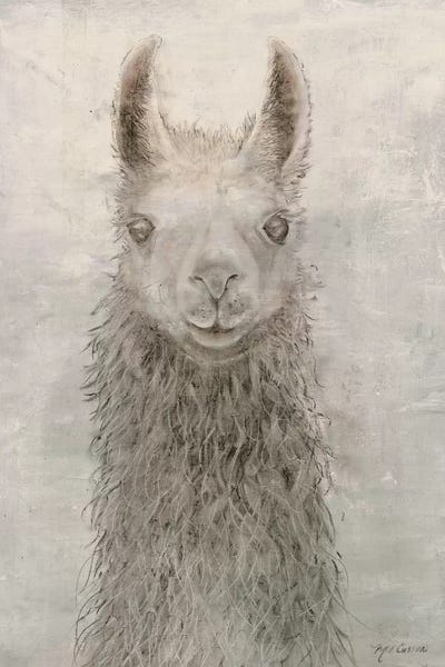 Llamas: Llama Portrait by Marie-Elaine Cusson