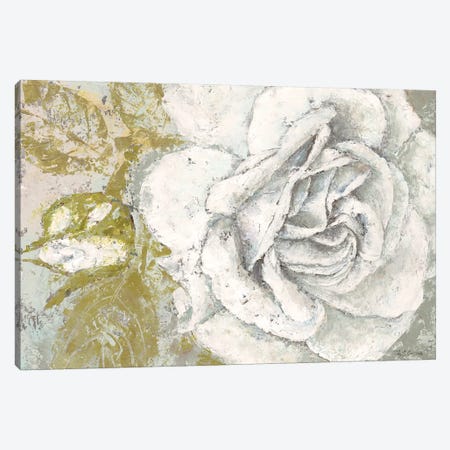 White Rose Blossom Canvas Print #MEC52} by Marie Elaine Cusson Canvas Wall Art
