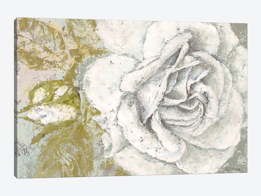 White Rose Blossom by Marie Elaine Cusson 1-piece Canvas Art