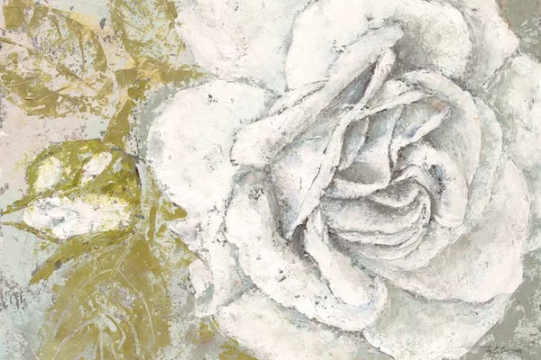Roaring Brook Art: White Rose Blossom by Marie-Elaine Cusson