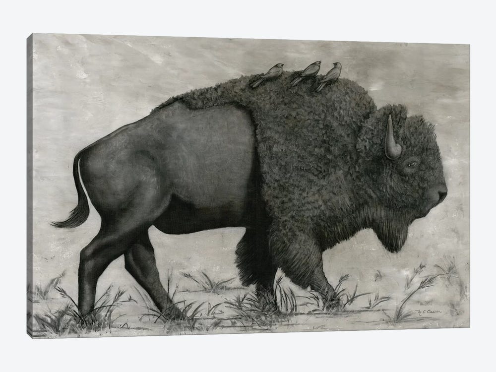 Basking Buffalo by Marie Elaine Cusson 1-piece Canvas Print