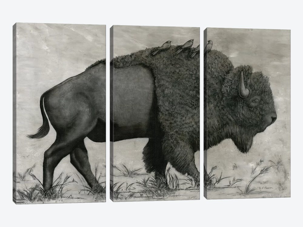 Basking Buffalo by Marie Elaine Cusson 3-piece Art Print
