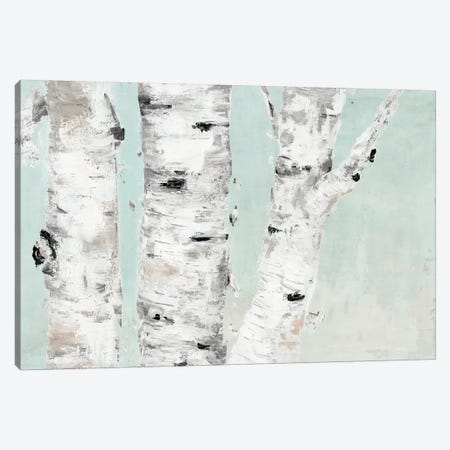 Birch Tree Close Up Canvas Print #MEC55} by Marie Elaine Cusson Canvas Print
