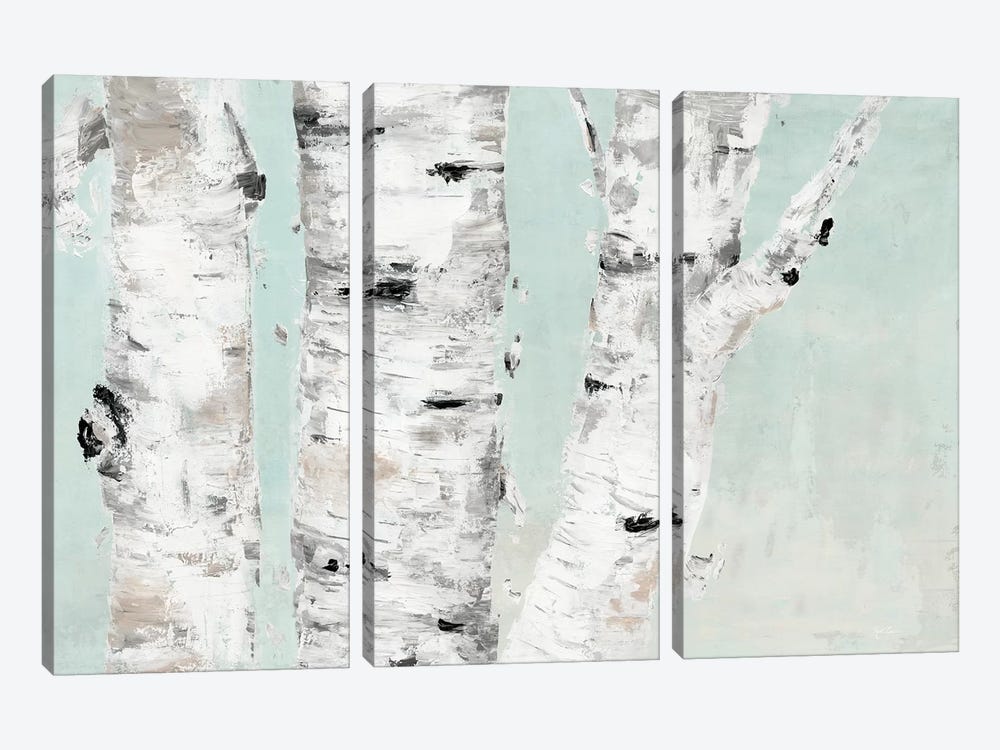 Birch Tree Close Up by Marie Elaine Cusson 3-piece Art Print