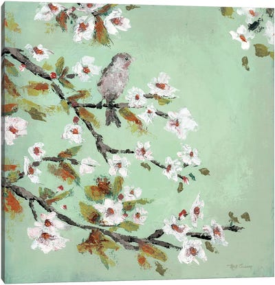 Morning Songbird Canvas Art Print - Blossom Art