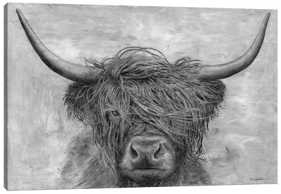 Scottish Bison Canvas Art Print - Gray Art