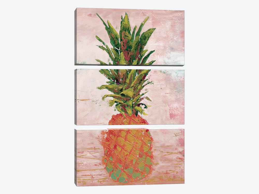 Painted Pineapple II by Marie Elaine Cusson 3-piece Canvas Art Print