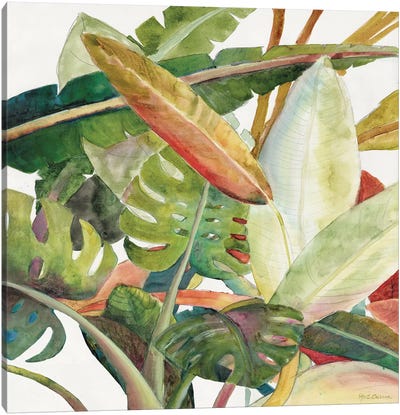 Tropical Lush Garden Square II Canvas Art Print - Tropical Leaf Art