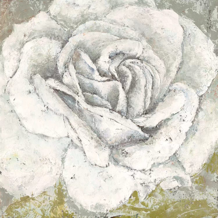 White Rose Blossom Square by Marie Elaine Cusson wall art
