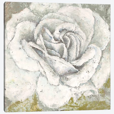 White Rose Blossom Square Canvas Print #MEC69} by Marie Elaine Cusson Canvas Print