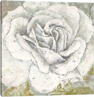 White Rose Blossom Square Canvas Art Print - Marie-Elaine Cusson