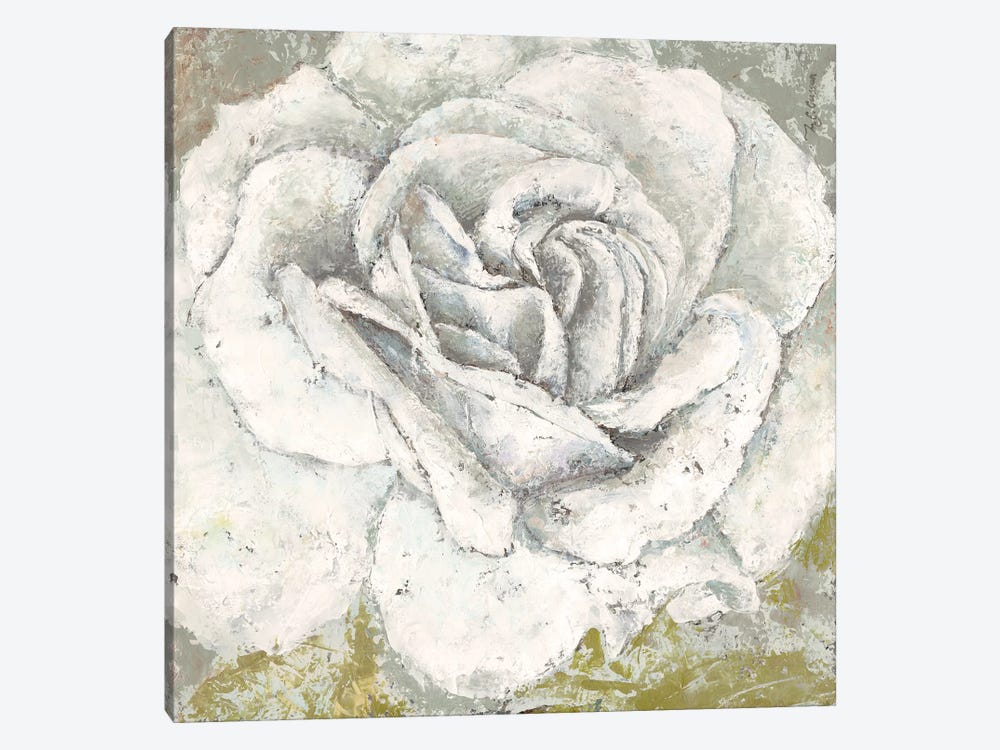 White Rose Blossom Square by Marie Elaine Cusson 1-piece Canvas Wall Art
