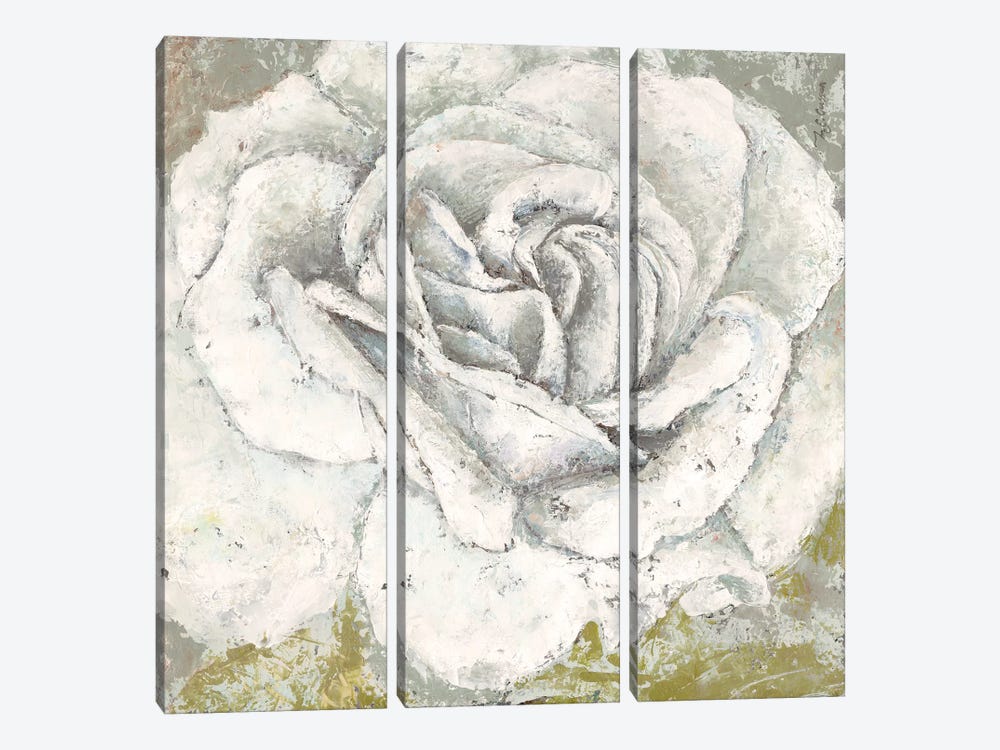 White Rose Blossom Square by Marie Elaine Cusson 3-piece Canvas Artwork