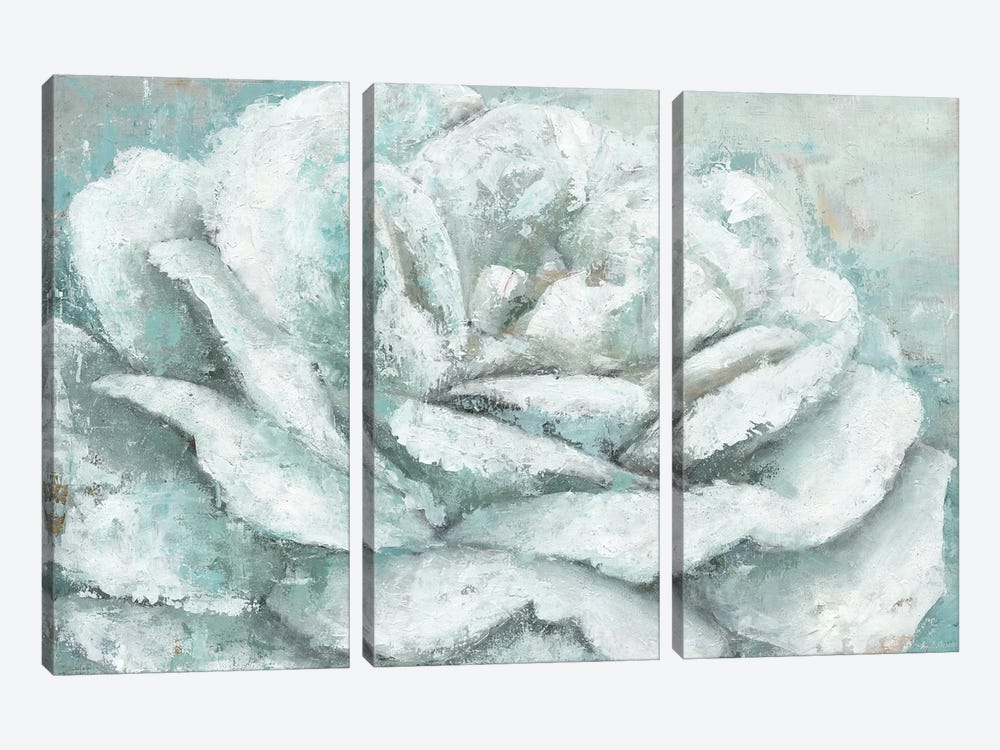 White Rose Splendor by Marie Elaine Cusson 3-piece Canvas Wall Art