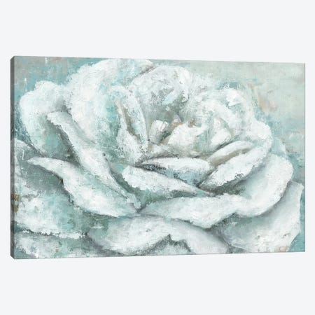 White Rose Splendor Canvas Print #MEC70} by Marie Elaine Cusson Canvas Art