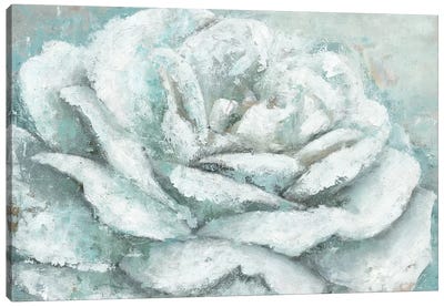 White Rose Splendor Canvas Art Print - Marie-Elaine Cusson