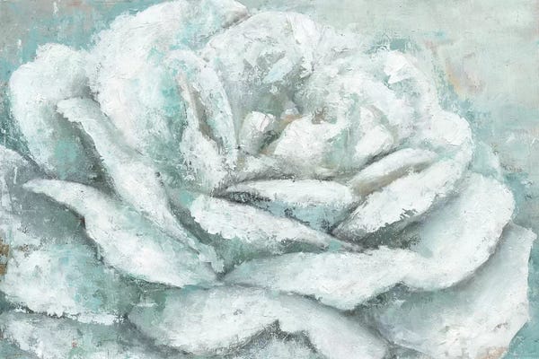 Nature Close-Ups: White Rose Splendor by Marie-Elaine Cusson