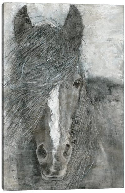 Horse in the Wind Canvas Art Print - Marie-Elaine Cusson