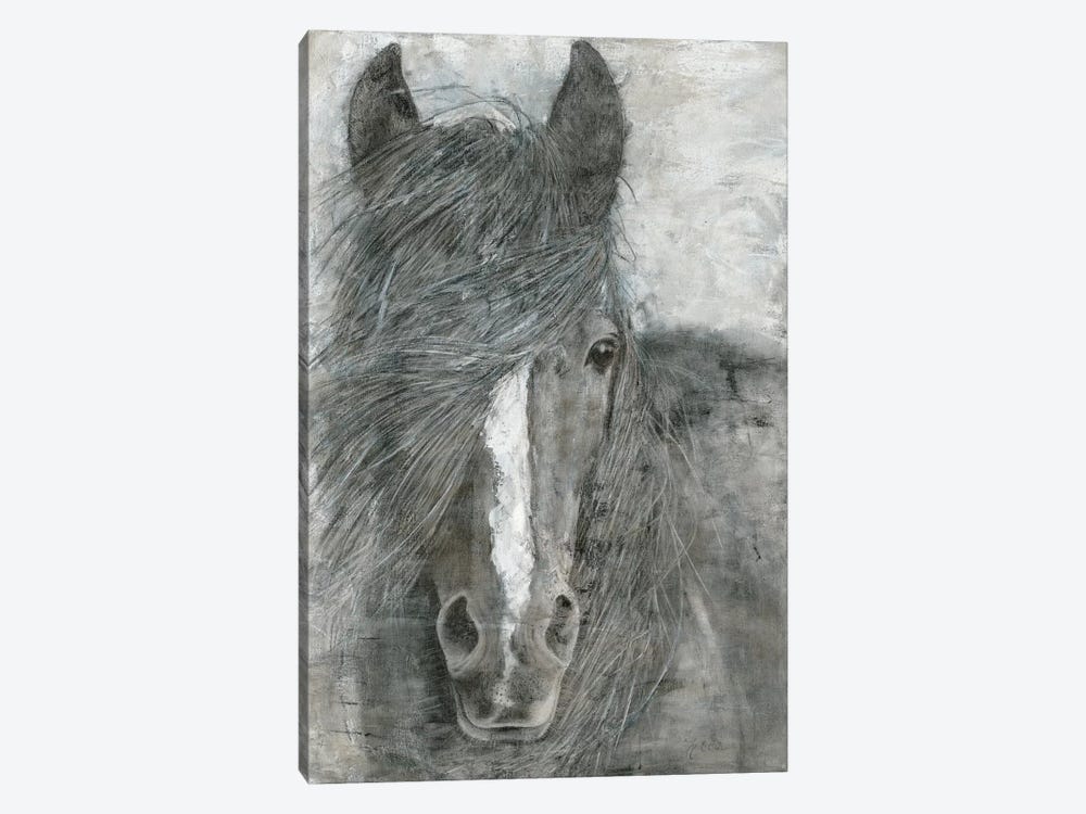 Horse in the Wind by Marie Elaine Cusson 1-piece Canvas Art