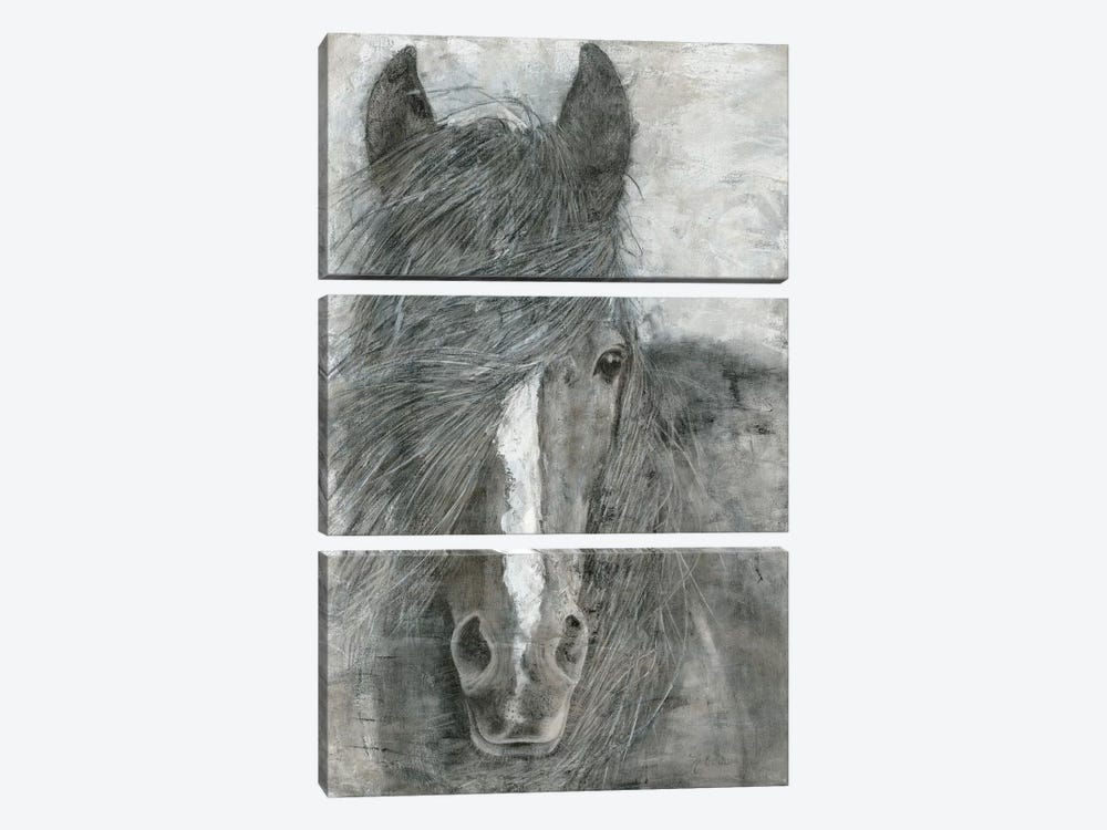 Horse in the Wind by Marie Elaine Cusson 3-piece Canvas Artwork