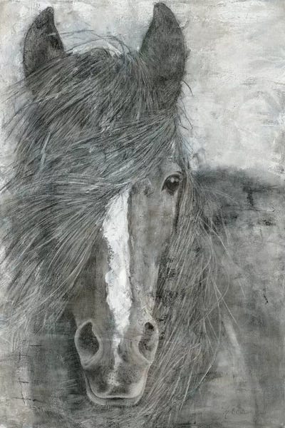 Marie-Elaine Cusson: Horse in the Wind by Marie-Elaine Cusson