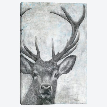 Portrait of a Deer Canvas Print #MEC74} by Marie Elaine Cusson Art Print