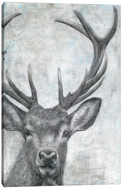Portrait of a Deer Canvas Art Print - Marie-Elaine Cusson