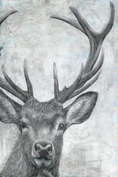 Deer: Portrait of a Deer by Marie-Elaine Cusson