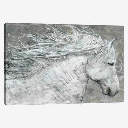 Wild Horse Canvas Print #MEC75} by Marie Elaine Cusson Art Print