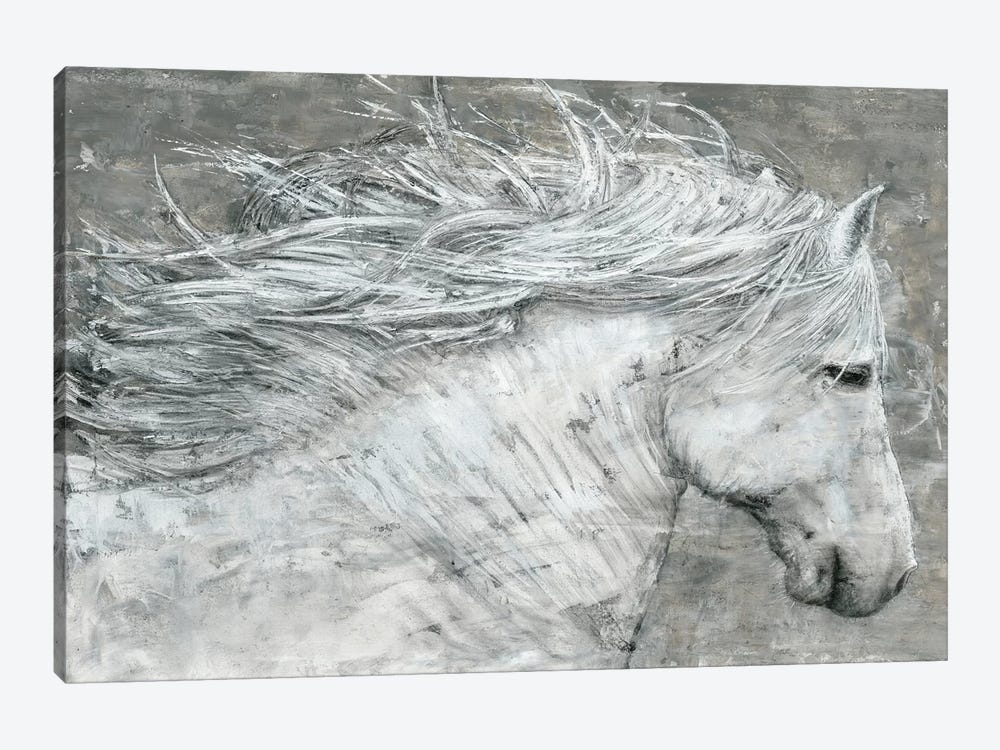 Wild Horse by Marie Elaine Cusson 1-piece Canvas Art Print